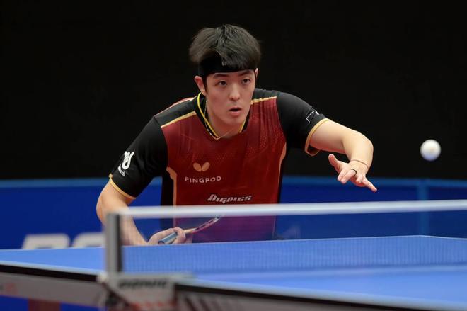 都是展示自 都是展示自